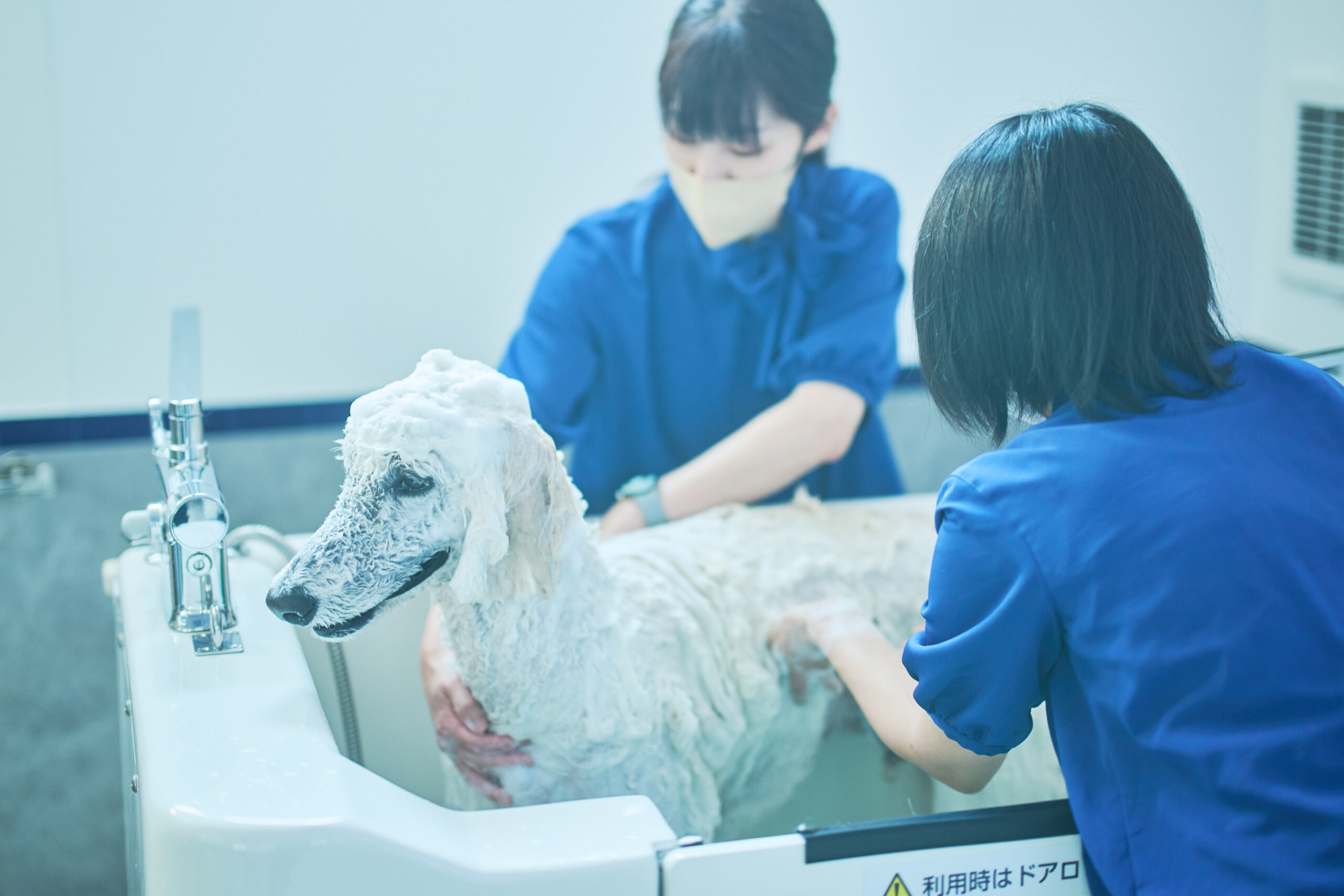 DOG SUITEドッグスイートという企業のオーダーメイド制服（ユニフォーム）の事例画像